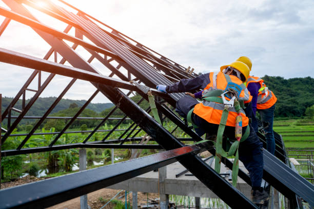 Best Metal Roofing Contractor  in Crisfield, MD