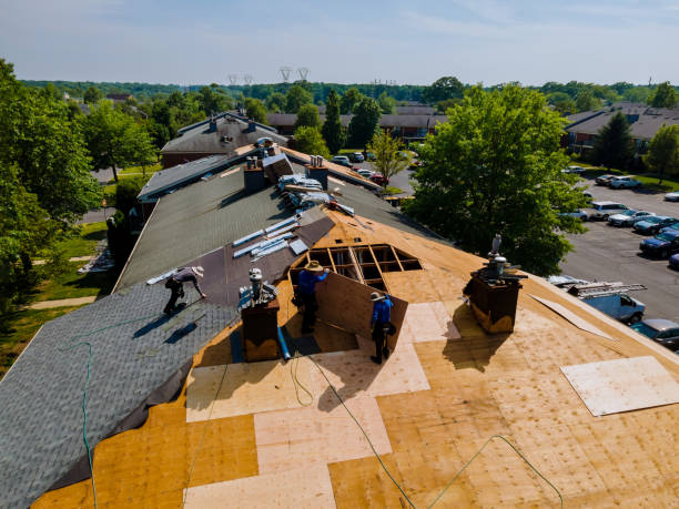 Best Flat Roof Repair Services  in Crisfield, MD