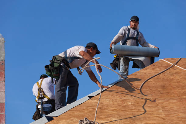 Best Best Roofing Contractors  in Crisfield, MD