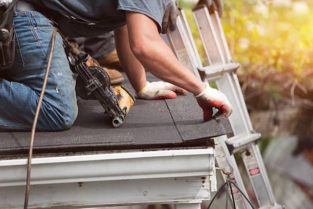 Best Shingle Roofing Installation  in Crisfield, MD